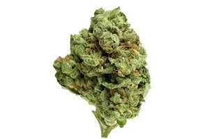 Social Choice 18/1 SEN GTH